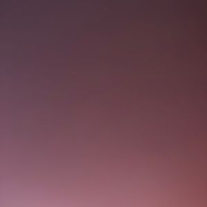 Meet your Posher, Martha